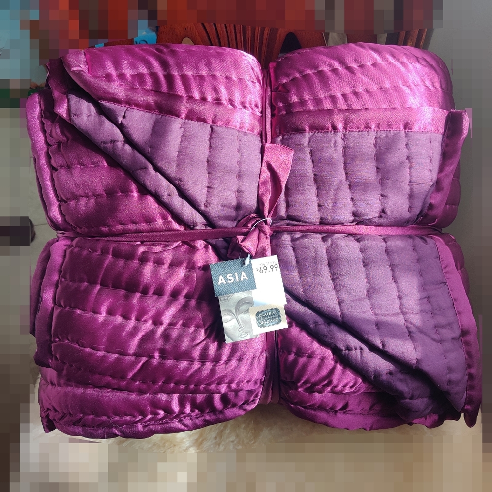 Queen Silk Quilt Quilted Blanket Comforter